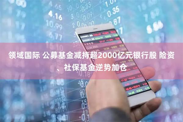 领域国际 公募基金减持超2000亿元银行股 险资、社保基金逆势加仓