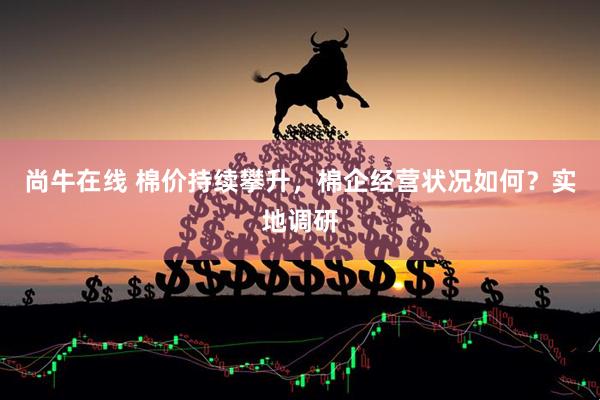 尚牛在线 棉价持续攀升，棉企经营状况如何？实地调研