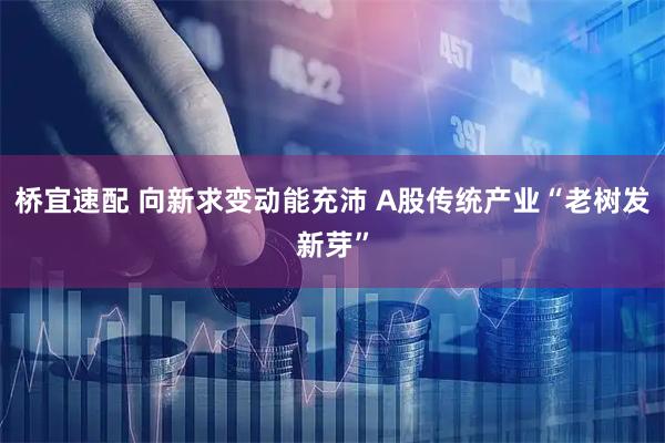 桥宜速配 向新求变动能充沛 A股传统产业“老树发新芽”